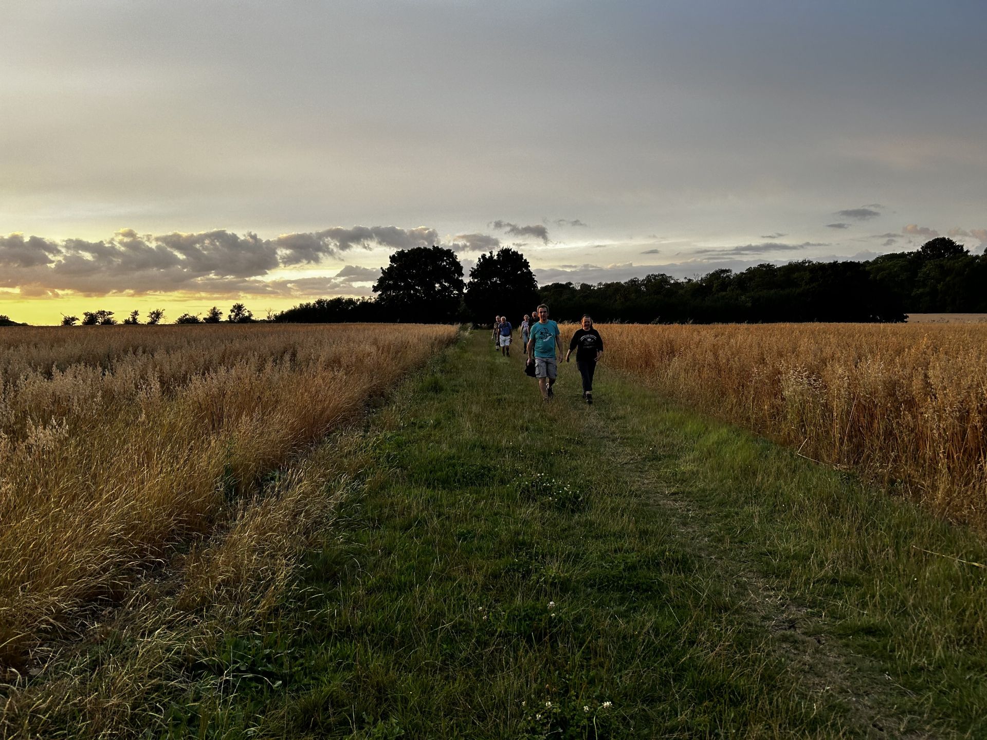 A view over the fields and into the evening sky